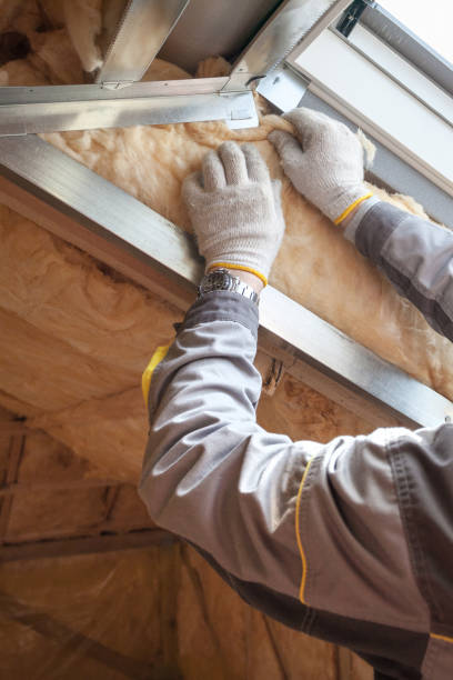 Best Cellulose Insulation in Thomas, OK